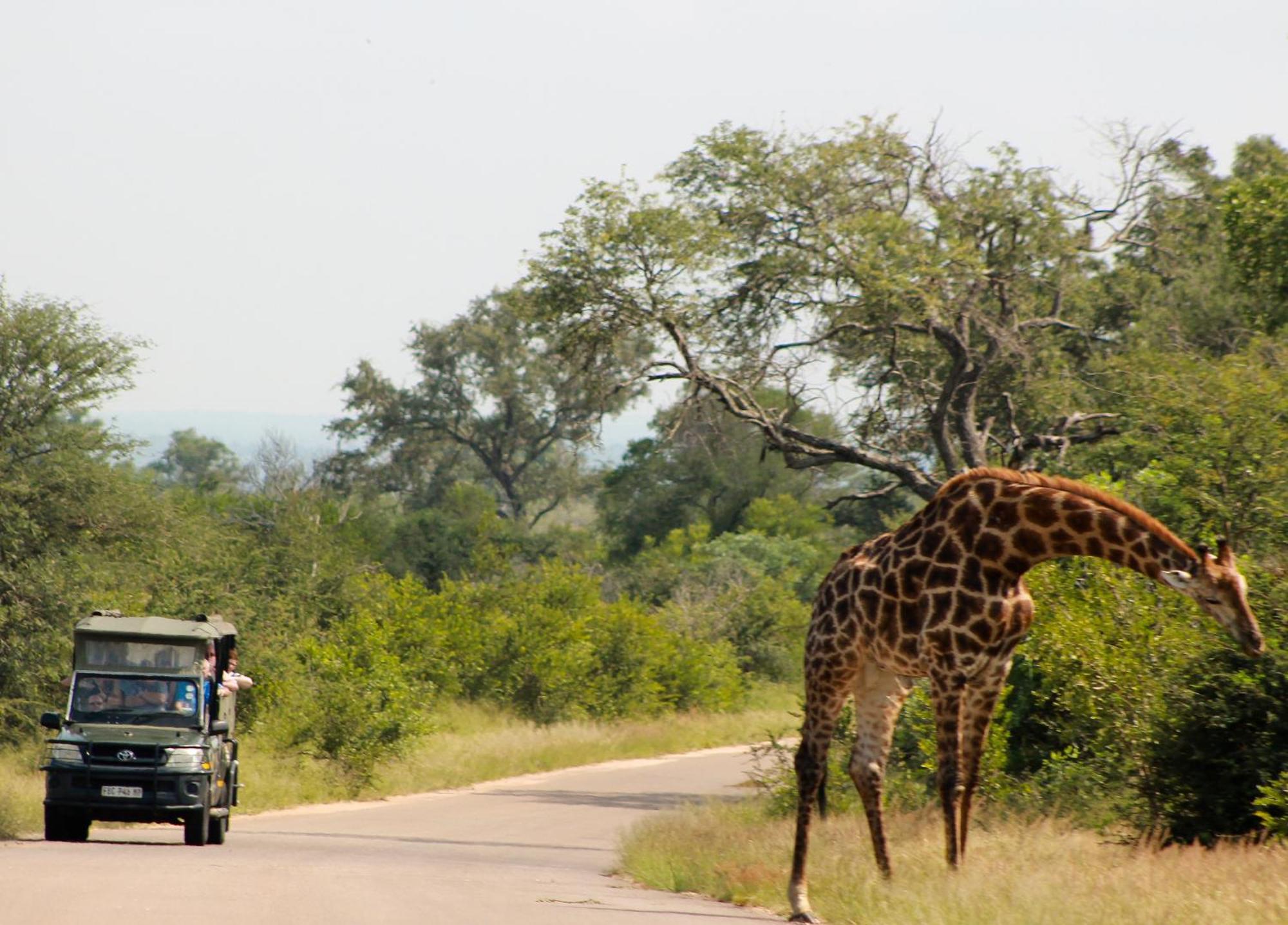Aha Skukuza Safari Lodge Extérieur photo